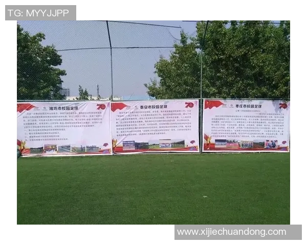 中国足球学校排名解析及各校特色培养模式探讨